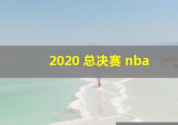 2020 总决赛 nba